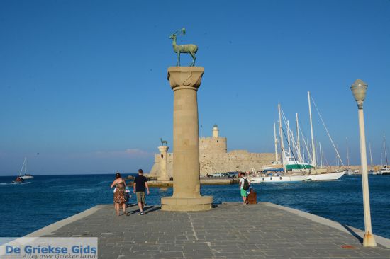 Hert en Hinde die Mandraki Haven bewaken